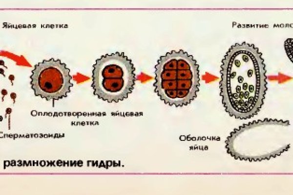 Кракен зайти зеркало